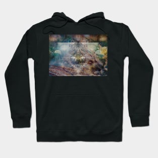 The three-eyed cat on the sofa in the forest Hoodie